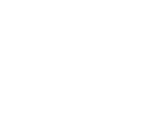 MBT